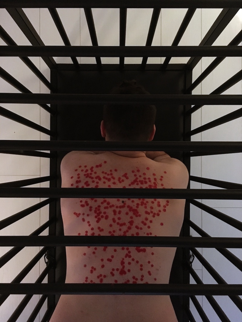 cage prison bdsm